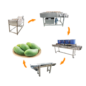 Palm Dattes Brosse Lavage Machinery_dates Kimia Machine à Laver _ dates_dattes Pâte Lavage et Séchage Machine Ligne - Product Image 6