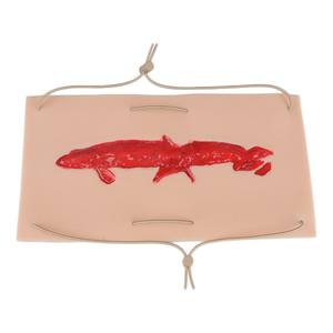 Modèle de simulation de lacerations profondes et de plaies par stabulation DARHMMY - Module de traumatisme en silicone réaliste pour <span class=keywords><strong>la</strong></span> <span class=keywords><strong>formation</strong></span> médicale - Product Image 1