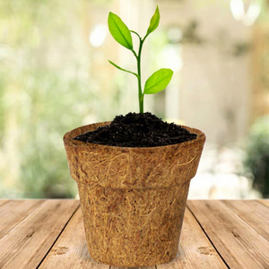 Nouveau pot de fleurs en fibre de coco naturelle marron classique, prix direct fabricant, décoration intérieure et jardinage - Product Image 1