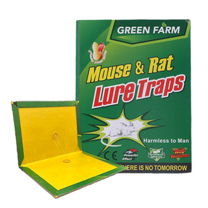 Piège à <span class=keywords><strong>souris</strong></span> adhésif transfrontalier, parfumé aux cacahuètes, non toxique, adhésif puissant, modèle 800 - Product Image 1