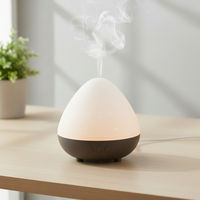 Diffuseur d'huiles essentielles de haute qualité, humidificateur d'air ultrasonique, diffuseur d'arômes pour la chambre, l'hôtel, le bureau, le spa