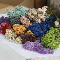 Bouquet de fleurs de millet séchées et préservées de haute qualité, tiges naturelles de 50 cm, pour la décoration de mariage