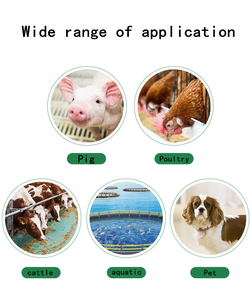 Aditivo Alimentar de Baixo Custo: Lisina Hidroclorídrica, Metionina e Lisina para Suínos, Gado e Aves - Product Image 4