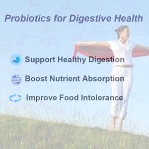 Capsules de probiotiques pour femmes OEM ODM, favorisent la santé de la peau, soutiennent la santé intestinale et la digestion, stimulent l'absorption des nutriments, végétaliennes, sans OGM - Product Image 3