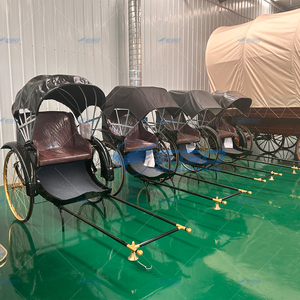 รถสามล้อไฟฟ้า2ล้อรถเข็นสำหรับขนส่งพิเศษ - Product Image 4