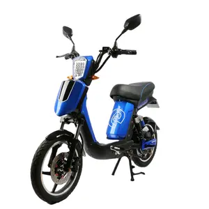Sepeda listrik 48V pabrikan Tiongkok 2 kursi 16 inci 48v baterai asam timbal skuter sepeda listrik dengan pedal untuk Eropa