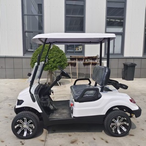 Carrito de Golf Eléctrico para 2 Pasajeros - Product Image 4