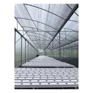 Serre écologique en plastique de qualité alimentaire PP ferme équipement de système de culture hydroponique pour la tomate - Product Image 6
