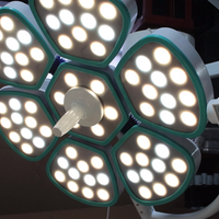 Plafond LED Chirurgie Théâtre Lampe Opération Lampe Fleur Type Théâtre D'opération Lumière Led Celling Chirurgical Lumière