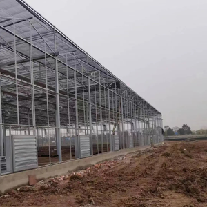 Fournisseurs de Yutuo Système de culture aquaponique à recirculation Système aquaponique pour serre en verre pour poissons et légumes - Product Image 2