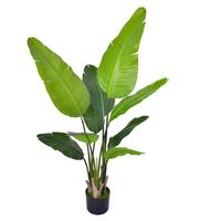 Tanaman Hias Buatan Pisang Traveler Areca Palm dengan Pot Plastik Hitam untuk Dekorasi Ruang Tamu Rumah Tangga