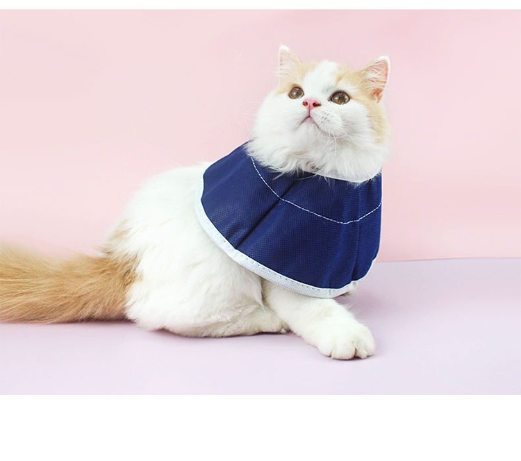 Adjustable Soft Cone Pet Recovery Elizabethan Collar pet Cone After Surgery pet recovery Collar