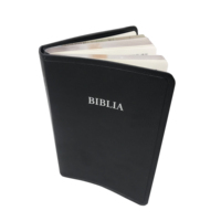 Prix d'usine, épaisseur, estampage à chaud, reliure rigide, impression de la Bible, livre de la Sainte Bible