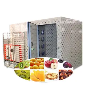 heat pump dryer drying tomato/mango/cassava/chilli drying machine dry fruit dryer drying machine