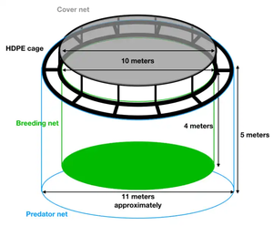 Cadre de tuyau en HDPE Cage à <span class=keywords><strong>poisson</strong></span> flottante circulaire Piège d'élevage d'aquaculture en haute <span class=keywords><strong>mer</strong></span> à vendre - Product Image 2