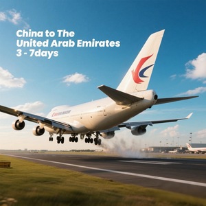 Naar De Verenigde Arabische Emiraten Is De Goedkoopste Speciale Route Voor Luchtvervoer Ddp/Ddu-Service - Product Image 1