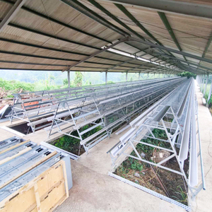 Cage à poulets de type A pour l'élevage avicole, poulailler pour poules pondeuses, avec système d'abreuvement et d'alimentation automatiques pour 10 000 oiseaux - Product Image 1