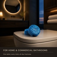 Tablette solide déodorante jetable de haute qualité, bleue, parfum citron, nettoyant pour cuvettes de toilettes, éliminateur de taches et de tartre urinaire