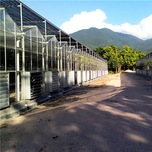 Rdwc sistema hidropónico de <span class=keywords><strong>manta</strong></span> térmica invernadero <span class=keywords><strong>para</strong></span> cría de caracol - Product Image 5