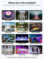 Fuente Musical para Exteriores LISHI, Diseño Programable con Control DMX, Decoración Acuática para Parques y Plazas, Servicio Personalizado al por Mayor OEM