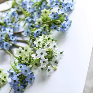 ดอกไม้หัวใจเบธเลเฮมกำมะหยี่เทียม Haiyi สีขาว ชมพู ม่วง ทำจาก PVC สำหรับตกแต่งงานแต่งงานและบ้าน - Product Image 4
