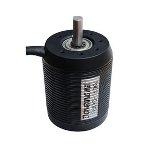 Motor sin escobillas Dongxingwei de 48V CC, montado en el eje, resistente al agua, para scooter eléctrico y bicicleta - Product Image 2