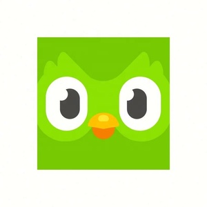 Cuenta Premium de Duolingo Pro, 1 Año, Aplicable Globalmente, Activa Tu Propia Cuenta - Product Image 4