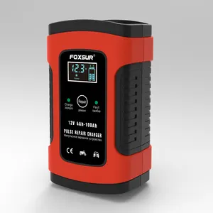 FOXSUR12ボルトバッテリー充電器Ebikeバッテリー充電器カーバッテリー充電器