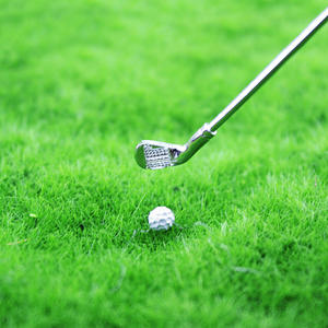 <span class=keywords><strong>Jouet</strong></span> miniature modèle scène <span class=keywords><strong>maison</strong></span> de poupée accessoires Mini Golf <span class=keywords><strong>Club</strong></span> scène créative décoration - Product Image 5