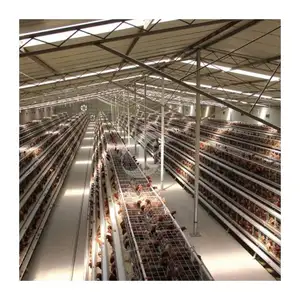 Tanzania Poultry Farm Cages For Layer Chickens For 10000 Birds