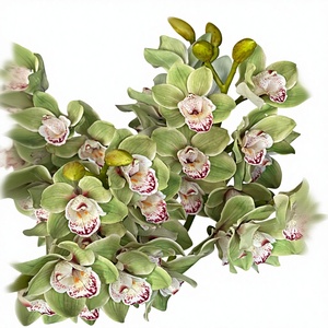 KEWEI 1580 Orchidée <span class=keywords><strong>Cymbidium</strong></span> à 7 têtes, tige unique, toucher réel, haute qualité - Product Image 1