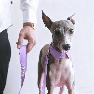 <span class=keywords><strong>Collar</strong></span> de Perro Ajustable de Lujo en Rojo Rosado Reciclado, <span class=keywords><strong>Collar</strong></span> de Perro con Lazo de Cuero Vegano Cómodo y Personalizado al por Mayor - Product Image 3