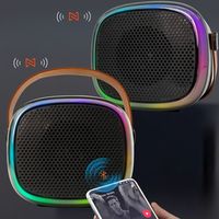 Conception professionnelle avec éclairage LED RVB, entrée AUX, double microphone KTV, commande vocale pour enceinte Bluetooth d'extérieur
