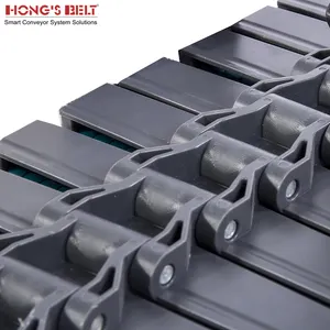 Hongsbelt LBP882M-K750/K1000/K1200 식품/포장 산업을위한 가장 인기 있고 고급 터닝 마그네틱 롤러 체인 벨트