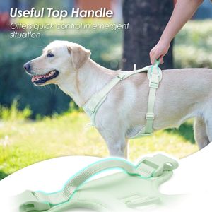 Harnais pour chien Perro : Accessoires pour animaux de compagnie personnalisables, harnais anti-traction et laisse pour chien - Product Image 4