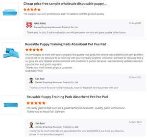 Распродажа, водонепроницаемые подушечки для щенков 60x60 60x90, одноразовые впитывающие подушечки для собак, быстросохнущие подушечки для собак, оптовая продажа, подушечки для домашних животных - Product Image 5