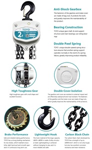 Pa lăng xích <span class=keywords><strong>Toyo</strong></span> 1 tấn 2 tấn 3 tấn 5 tấn giá bán chạy - Product Image 2