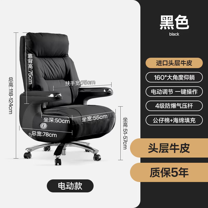 Black [Electric - Top Grain Leather]