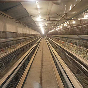 H loại gà lồng Gà Nuôi lồng để giữ gà lớp - Product Image 2