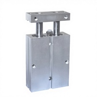 Cylindre pneumatique à double action à double puissance à double tige série TN haute précision STNC, vérin pneumatique à deux tiges, vérin pneumatique à double tige