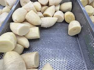 Légumes en conserve : Légumes <span class=keywords><strong>de</strong></span> <span class=keywords><strong>bambou</strong></span> frais coupés en morceaux aléatoires, paquet <span class=keywords><strong>de</strong></span> 1 kg - Product Image 4