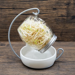 Kit innovant de bocal à germination avec plateau en verre <span class=keywords><strong>et</strong></span> support en métal en forme de lune pour la germination de haricots Décoration esthétique - Product Image 1