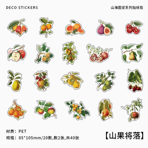 ZY0895A montagne et mer carte série autocollant pour animaux de compagnie sac rétro Animal et plante tente matériel sac bricolage autocollant décoratif 6 modèles - Product Image 5