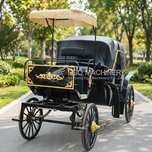 Carruaje Turístico Victoria con Techo Abierto Eléctrico, Vagoneta para Bodas con Cortina para Lluvia - Product Image 2