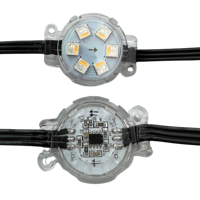 Módulo de píxeles LED de 30mm de diámetro, IP68, 1,8 W, carcasa plana transparente de alambre negro, luces de punto LED, DC24V, 20 unidades