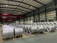 Entrega Rápida SGCC/CGCC/TDC51DZM/TDC52D A36 Q195 240 Z40 Bobina de Acero Galvanizado de Dureza Media con Recubrimiento de Zinc de 20-180g