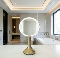 Miroir de salle de bain ZIHAN en acier inoxydable argenté 9'' à hauteur réglable, moderne, avec 3 LED HD, alimenté par batterie, finition dorée brossée