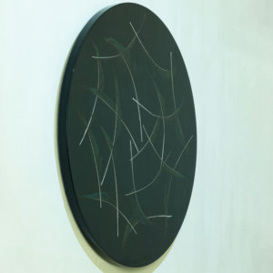 NEWKNG espécimen de pluma de pavo real personalizado/muestras ilustraciones colgantes, acrílico (no resina), decoración de pared negra - Product Image 5