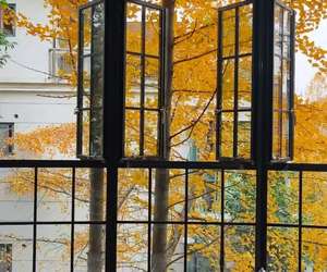 <span class=keywords><strong>Ventana</strong></span> Abatible de Aluminio de Alta Seguridad con <span class=keywords><strong>Mosquitera</strong></span> <span class=keywords><strong>Integrada</strong></span> de Malla Diamantada y Sistema de Cierre Multipunto - Product Image 4