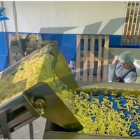 Volledig automatische industriële snelvrieslijn voor het produceren van frites met complete verwerkingsapparatuur
